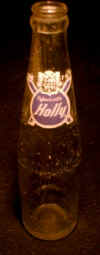 aclholly1.JPG (17557 bytes)